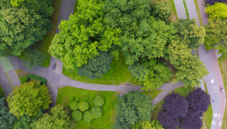 The Future of Social Value