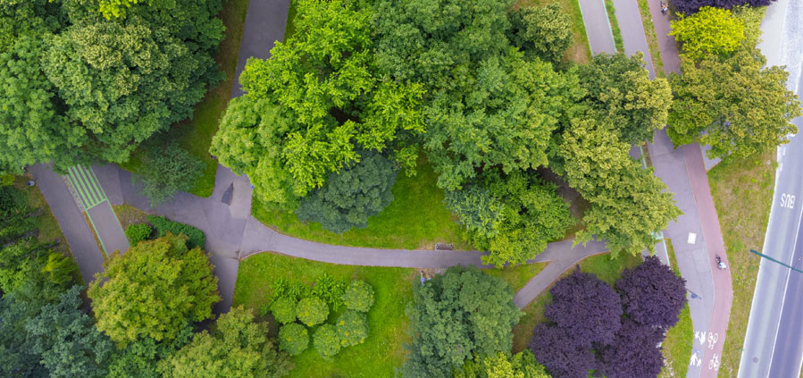 Ep. 3: Unlocking Decarbonisation Funding – The Journey to Net Zero