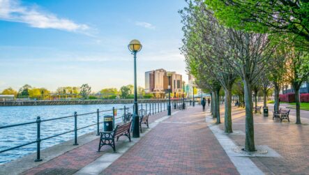 Ep. 8: Decarbonising Your Estate Through Effective Estates Management