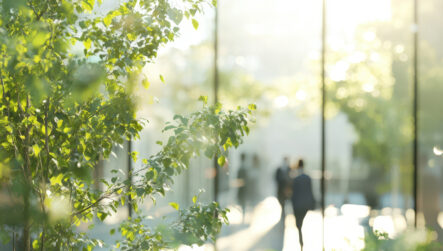 Pier Gardens Revival – WSP Landscape Architecture Commission