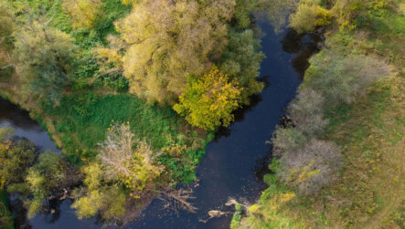 Polmadie Burn clean-up for Clyde Gateway