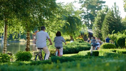 Ep. 17: Whitepaper Research Unpicked – Driving Decarbonisation in the Public Sector