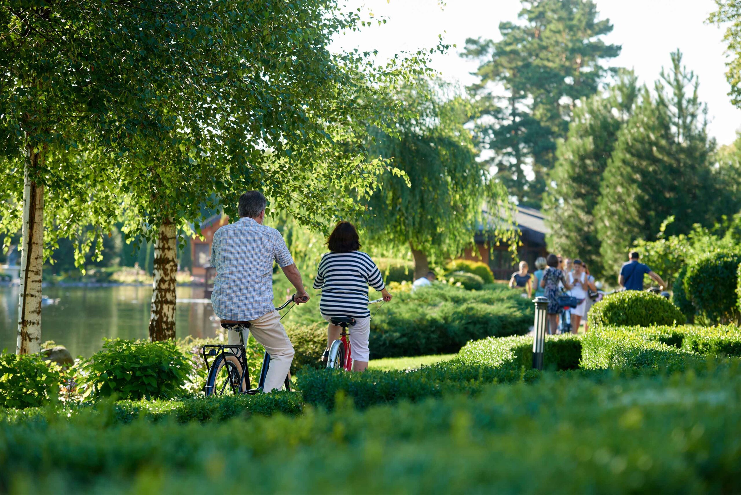 Ep. 17: Whitepaper Research Unpicked – Driving Decarbonisation in the Public Sector