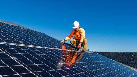 University estate decarbonisation support for Swansea University