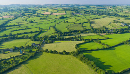 Churchfield site study for Wiltshire Council